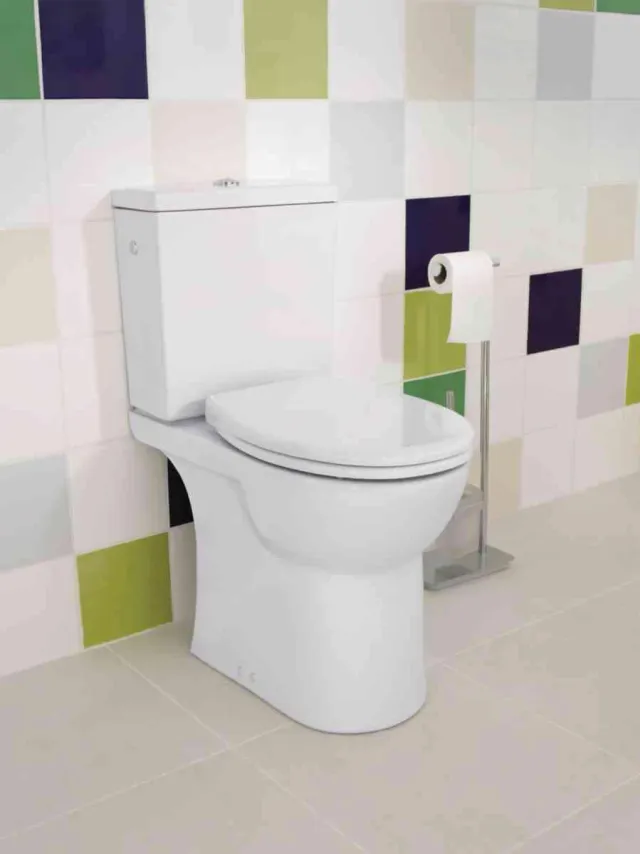 Toilettes avec WC surélevé